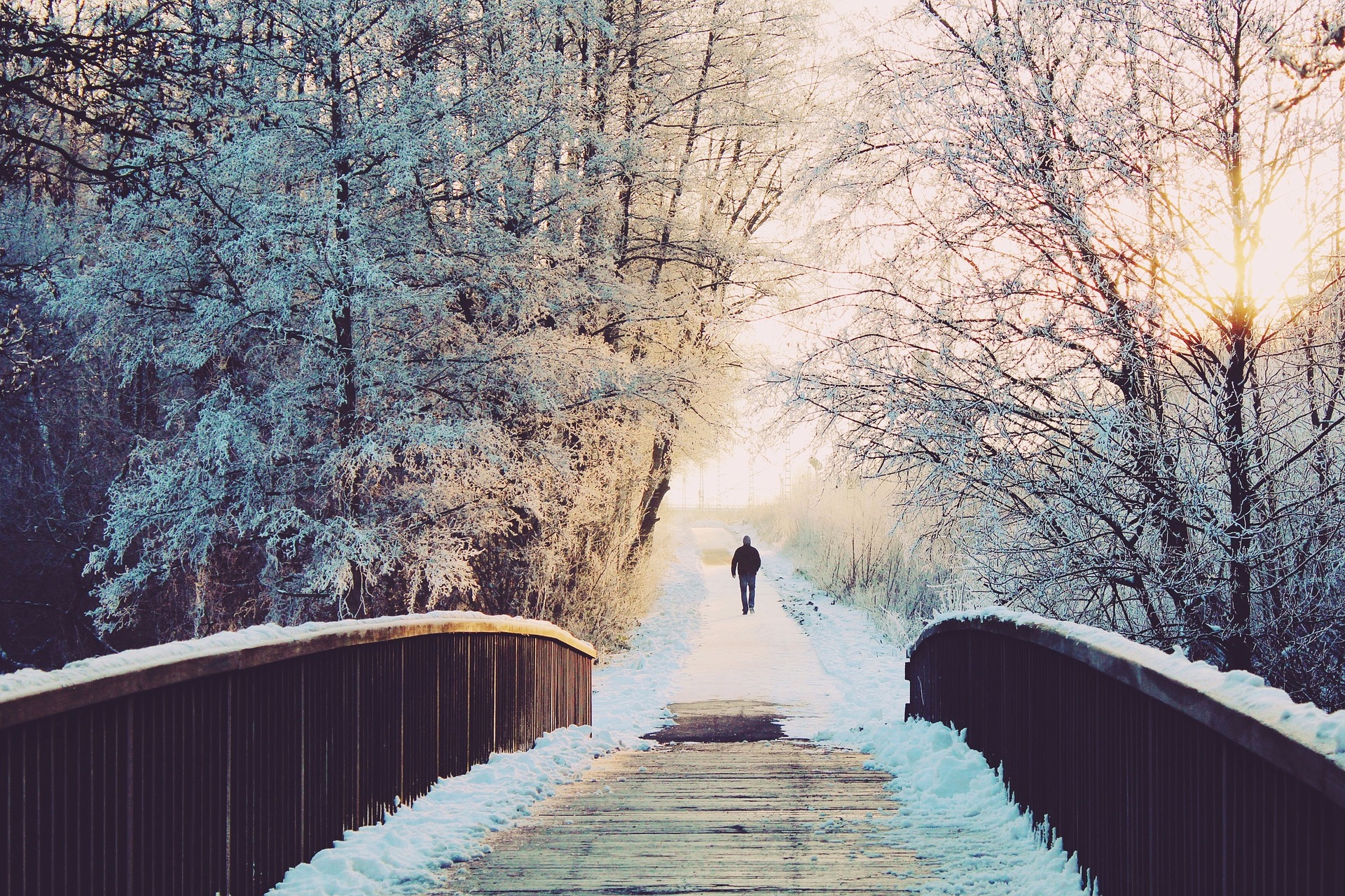 11 Tipps für ein kräftiges Immunsystem im Winter