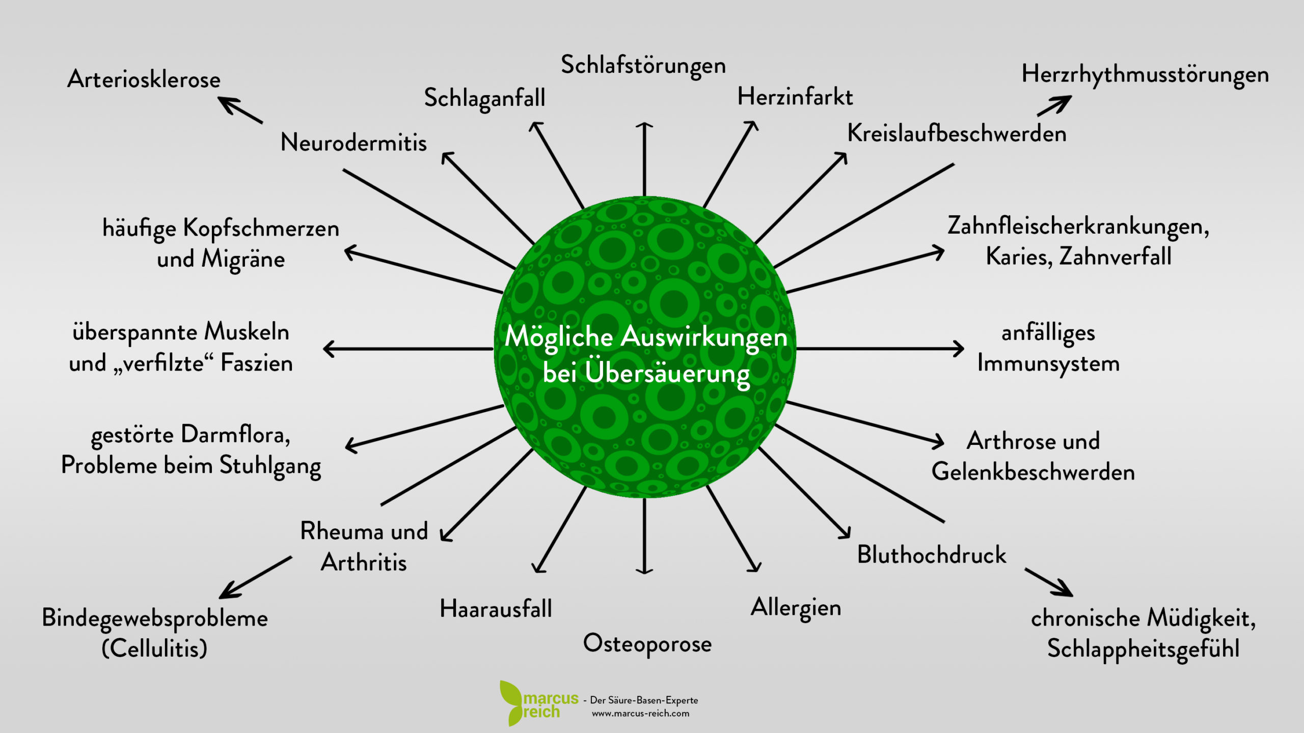 Auswirkungen der Übersäuerung