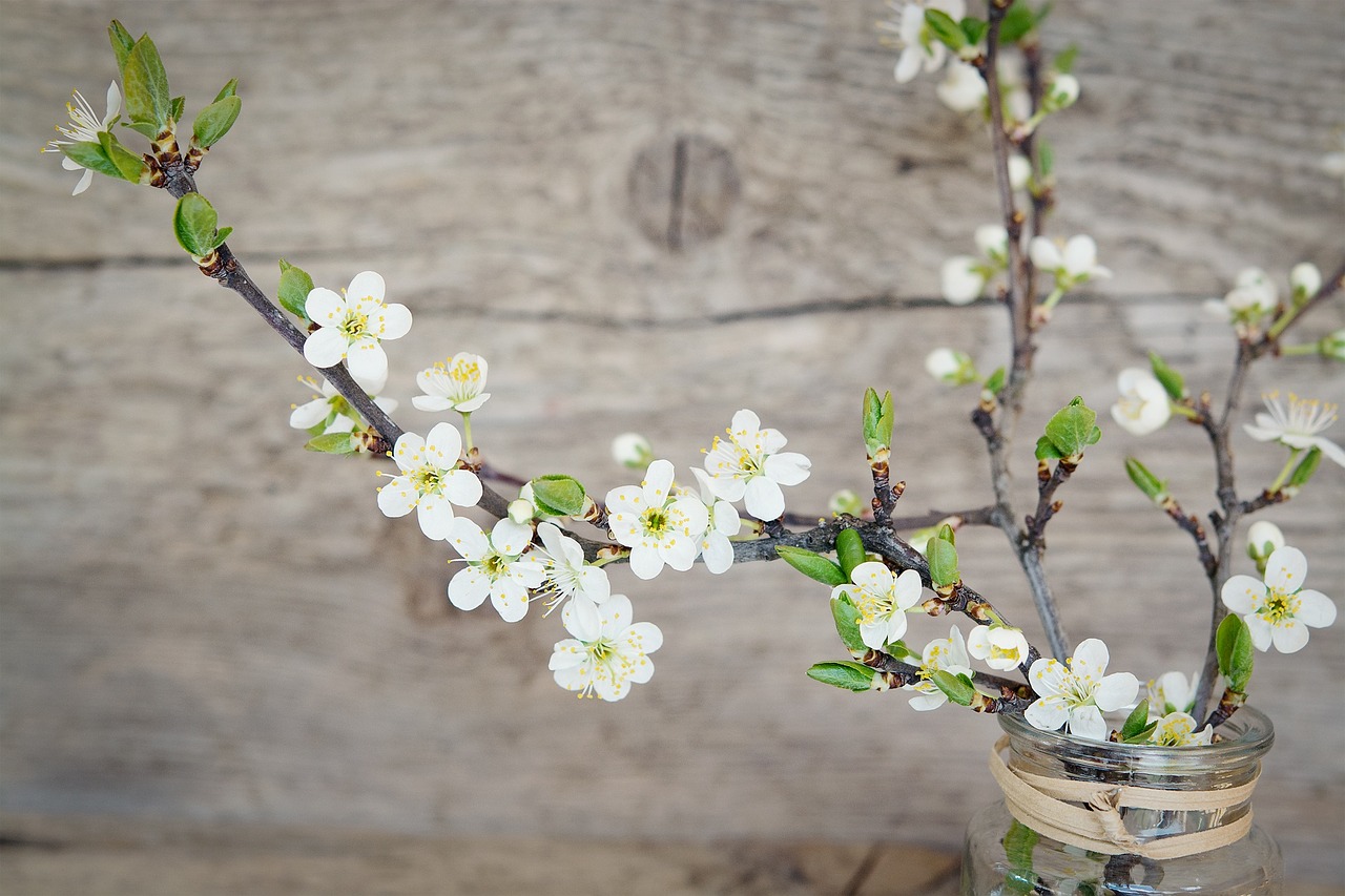 Basisch durch den Frühling