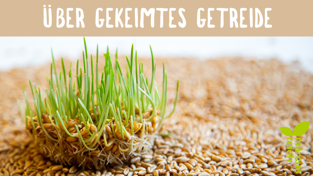 Über gekeimtes Getreide