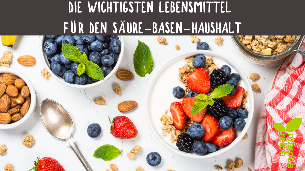 Die wichtigsten Lebensmittel für den Säure-Basen-Haushalt