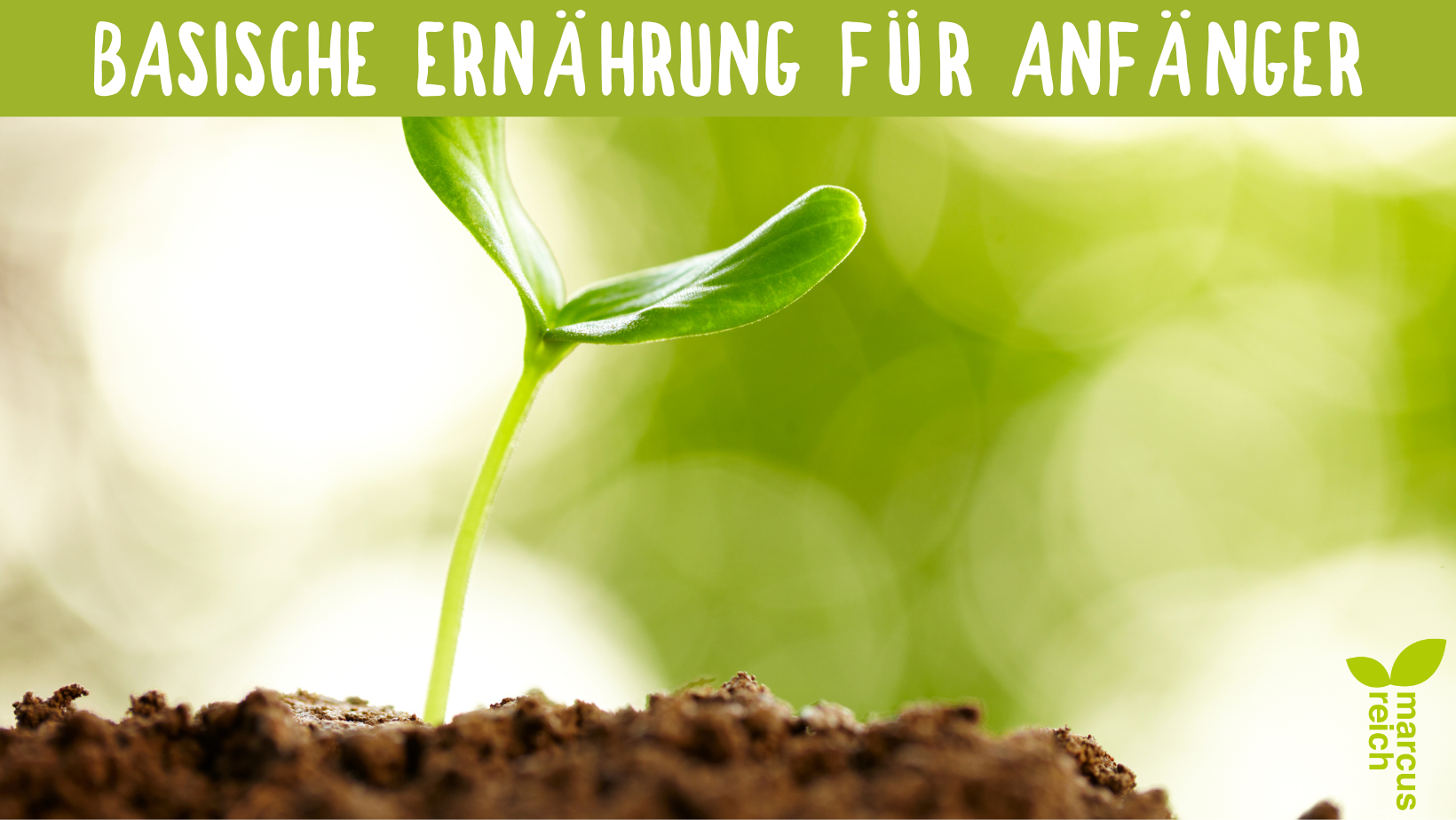 Basische Ernährung für Anfänger